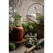 Lexington Forged Trowel