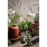 Lexington Forged Trowel