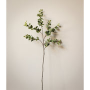 Privet Foliage Spray, 36"L - Variegated
