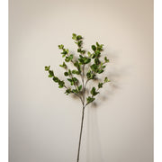 Privet Foliage Spray - 36"L, Green