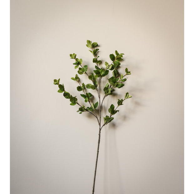 Privet Foliage Spray - 36"L, Green