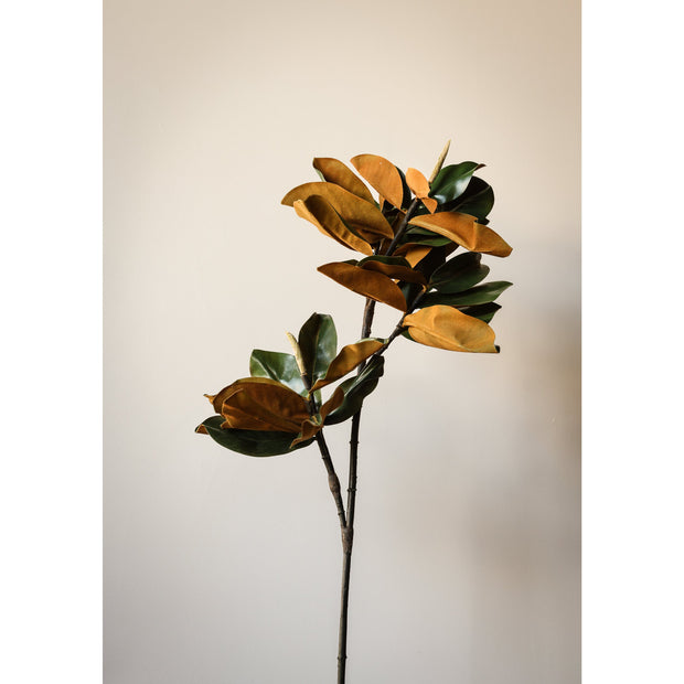 Magnolia Leaf Spray, 36" L