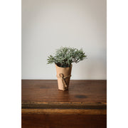 Wrapped Potted Plant Centerpieces